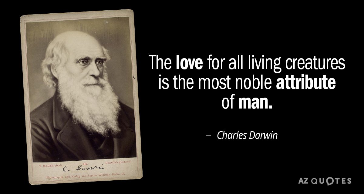 Charles Darwin quote: The love for all living creatures is the most noble attribute of man.