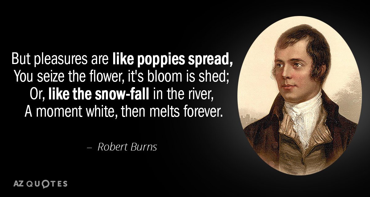 Robert Burns quote: But pleasures are like poppies spread, You seize the flower, it's bloom is...