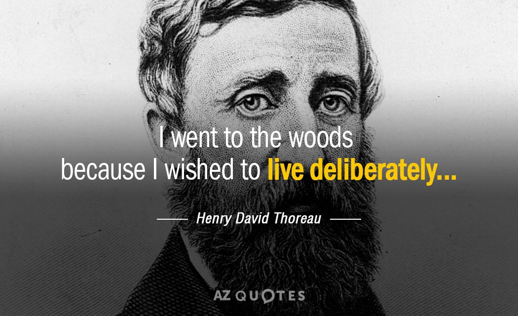 Henry David Thoreau quote: I went to the woods because I wished to live deliberately.