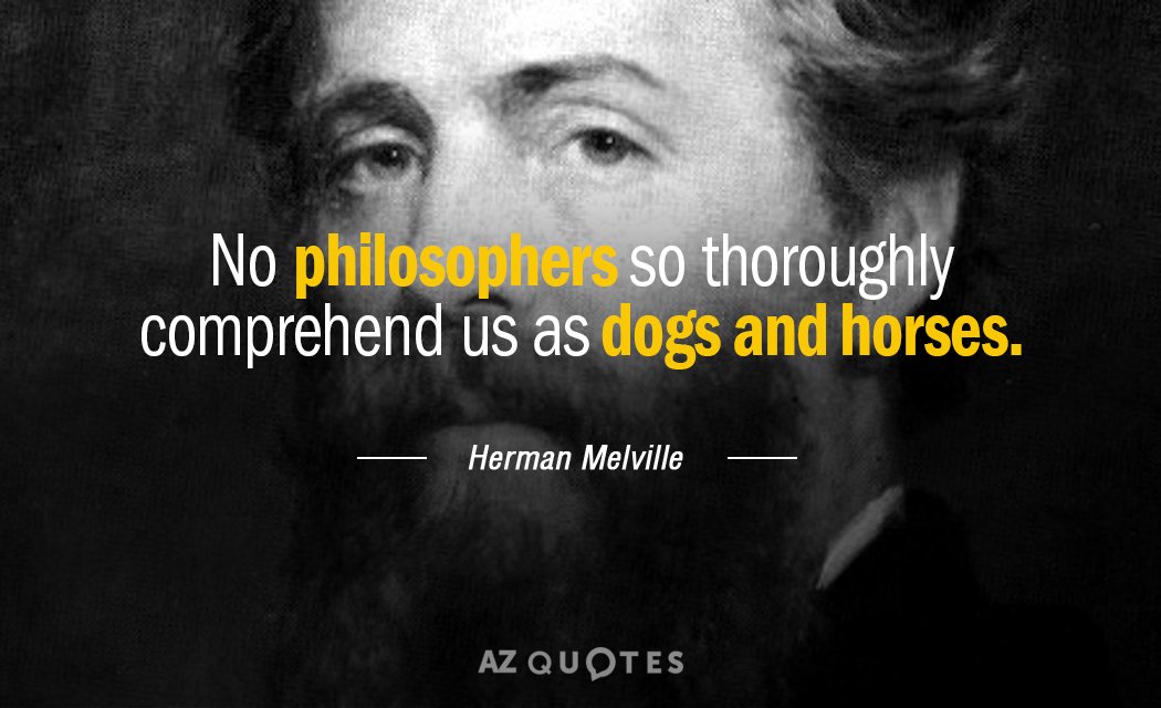Herman Melville quote: No philosophers so thoroughly comprehend us as dogs and horses.