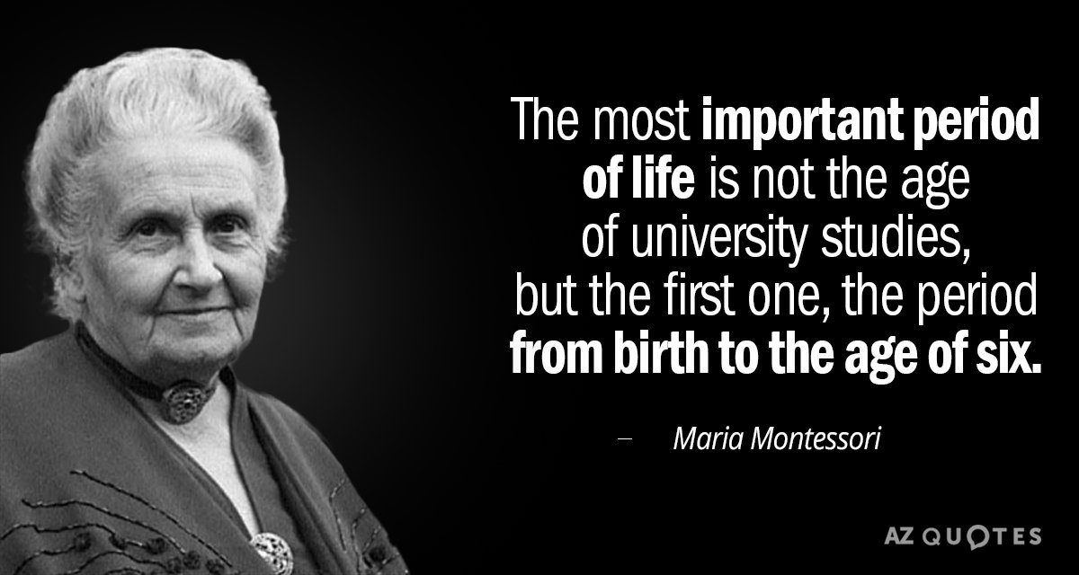 Maria Montessori quote: The most important period of life is not the age of university studies...