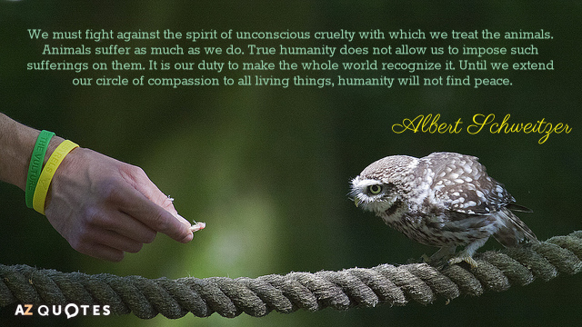 Albert Schweitzer quote: We must fight against the spirit of unconscious cruelty with which we treat...