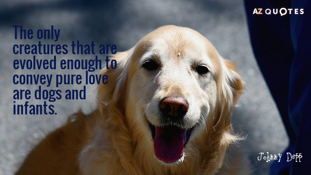 TOP 25 OWNING A PET QUOTES | A-Z Quotes