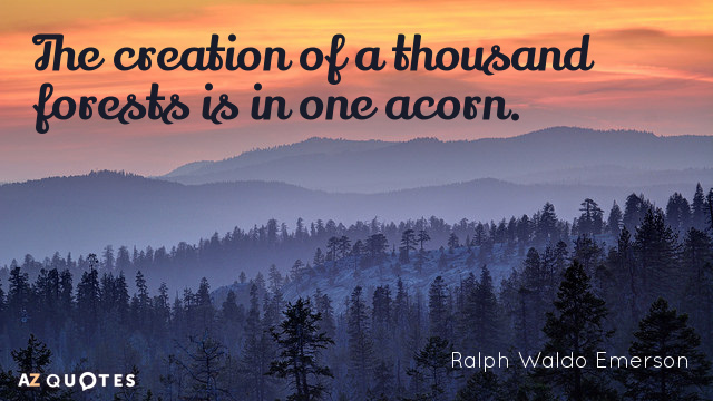 Ralph Waldo Emerson quote: The creation of a thousand forests is in one acorn.