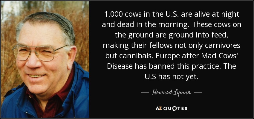 1,000 cows in the U.S. are alive at night and dead in the morning. These cows on the ground are ground into feed, making their fellows not only carnivores but cannibals. Europe after Mad Cows' Disease has banned this practice. The U.S has not yet. - Howard Lyman