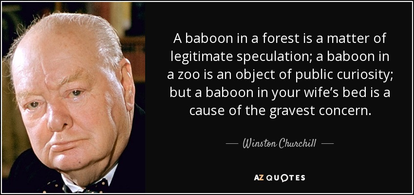 A baboon in a forest is a matter of legitimate speculation; a baboon in a zoo is an object of public curiosity; but a baboon in your wife’s bed is a cause of the gravest concern. - Winston Churchill