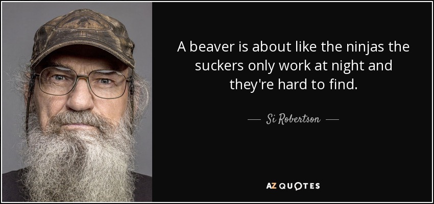 A beaver is about like the ninjas the suckers only work at night and they're hard to find. - Si Robertson