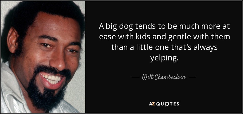 A big dog tends to be much more at ease with kids and gentle with them than a little one that's always yelping. - Wilt Chamberlain
