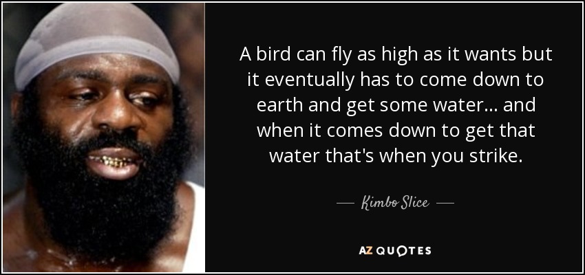 A bird can fly as high as it wants but it eventually has to come down to earth and get some water... and when it comes down to get that water that's when you strike. - Kimbo Slice