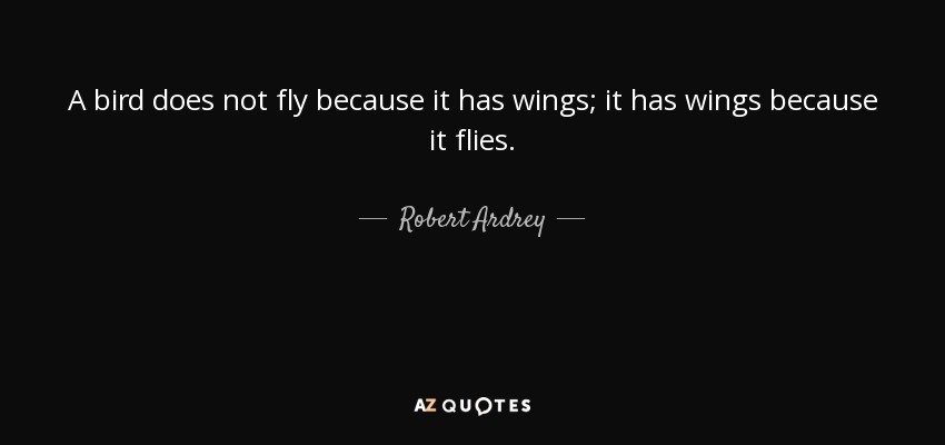 A bird does not fly because it has wings; it has wings because it flies. - Robert Ardrey