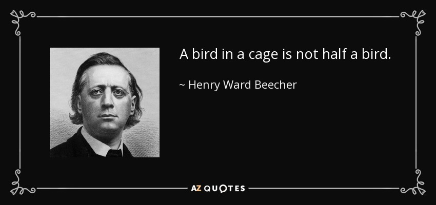 A bird in a cage is not half a bird. - Henry Ward Beecher