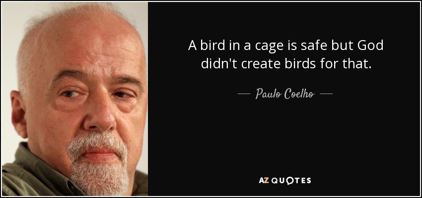 A bird in a cage is safe but God didn't create birds for that. - Paulo Coelho