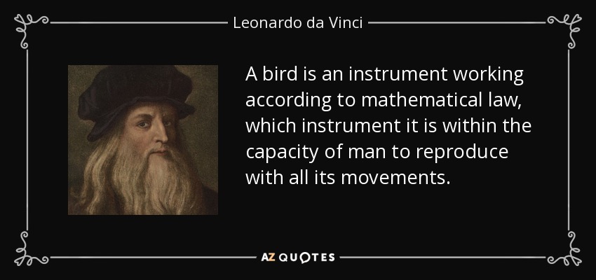 A bird is an instrument working according to mathematical law, which instrument it is within the capacity of man to reproduce with all its movements. - Leonardo da Vinci