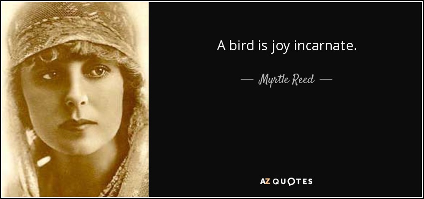 A bird is joy incarnate. - Myrtle Reed