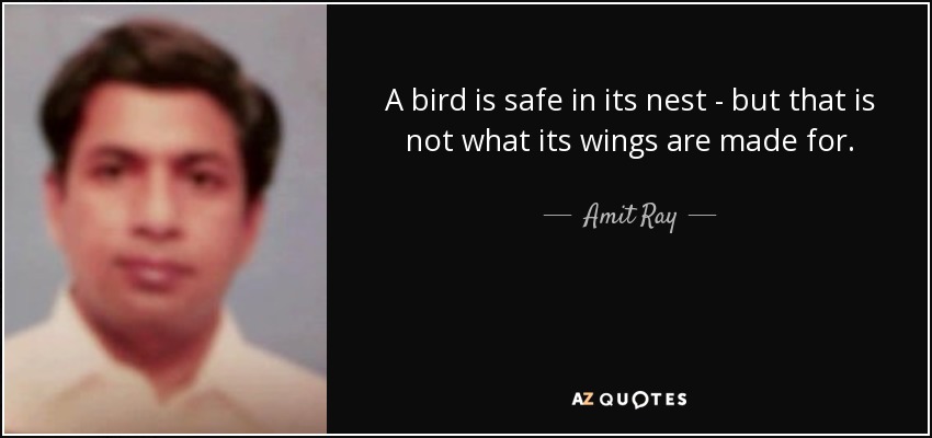 A bird is safe in its nest - but that is not what its wings are made for. - Amit Ray