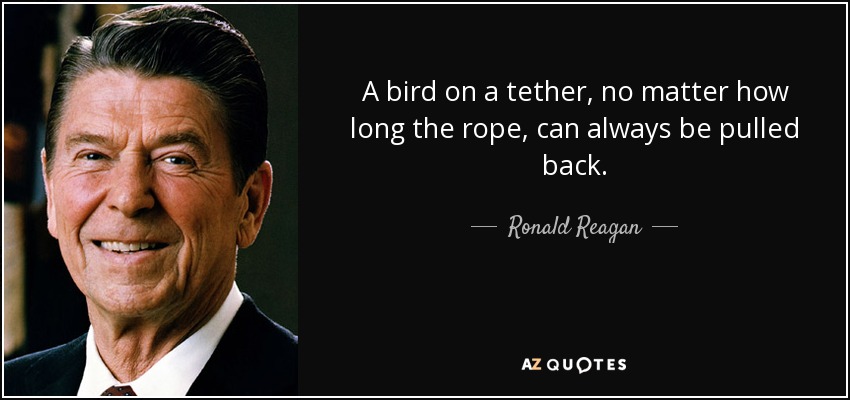 A bird on a tether, no matter how long the rope, can always be pulled back. - Ronald Reagan