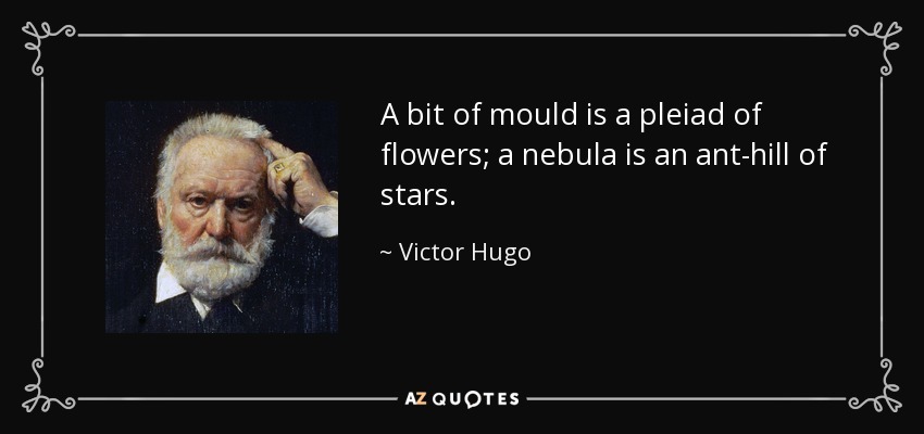 A bit of mould is a pleiad of flowers; a nebula is an ant-hill of stars. - Victor Hugo