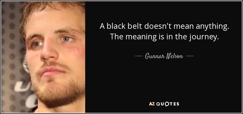 A black belt doesn't mean anything. The meaning is in the journey. - Gunnar Nelson