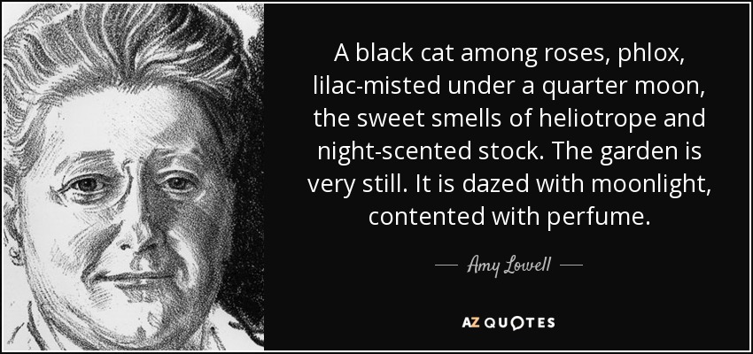 A black cat among roses, phlox, lilac-misted under a quarter moon, the sweet smells of heliotrope and night-scented stock. The garden is very still. It is dazed with moonlight, contented with perfume. - Amy Lowell