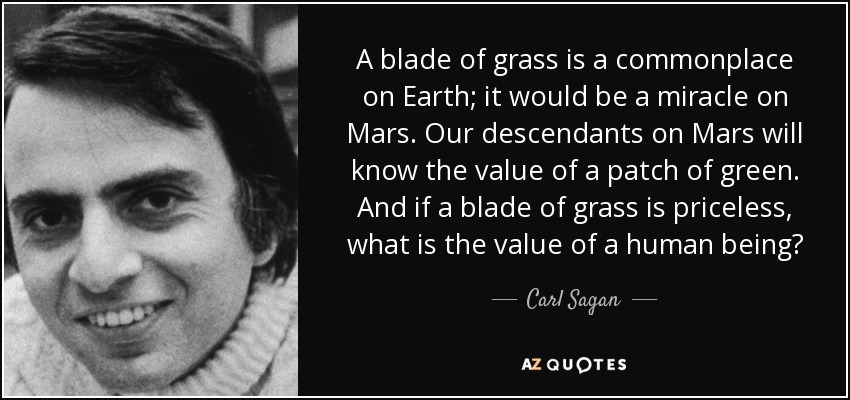 A blade of grass is a commonplace on Earth; it would be a miracle on Mars. Our descendants on Mars will know the value of a patch of green. And if a blade of grass is priceless, what is the value of a human being? - Carl Sagan