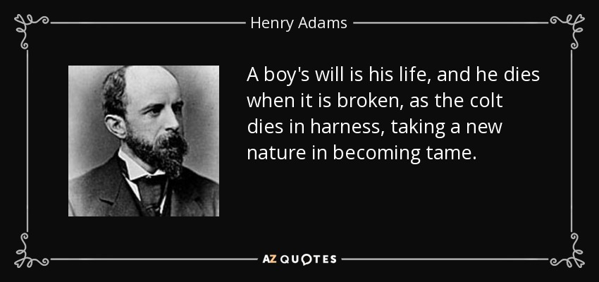 A boy's will is his life, and he dies when it is broken, as the colt dies in harness, taking a new nature in becoming tame. - Henry Adams