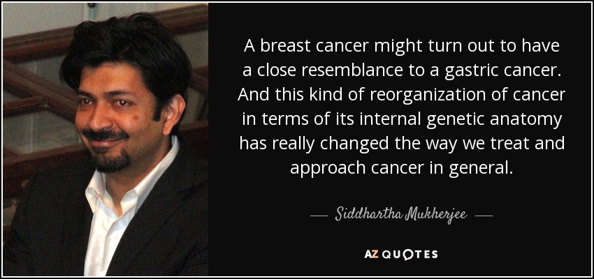 A breast cancer might turn out to have a close resemblance to a gastric cancer. And this kind of reorganization of cancer in terms of its internal genetic anatomy has really changed the way we treat and approach cancer in general. - Siddhartha Mukherjee