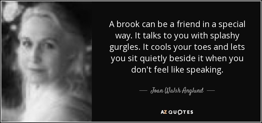 A brook can be a friend in a special way. It talks to you with splashy gurgles. It cools your toes and lets you sit quietly beside it when you don't feel like speaking. - Joan Walsh Anglund