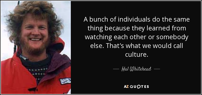 A bunch of individuals do the same thing because they learned from watching each other or somebody else. That's what we would call culture. - Hal Whitehead