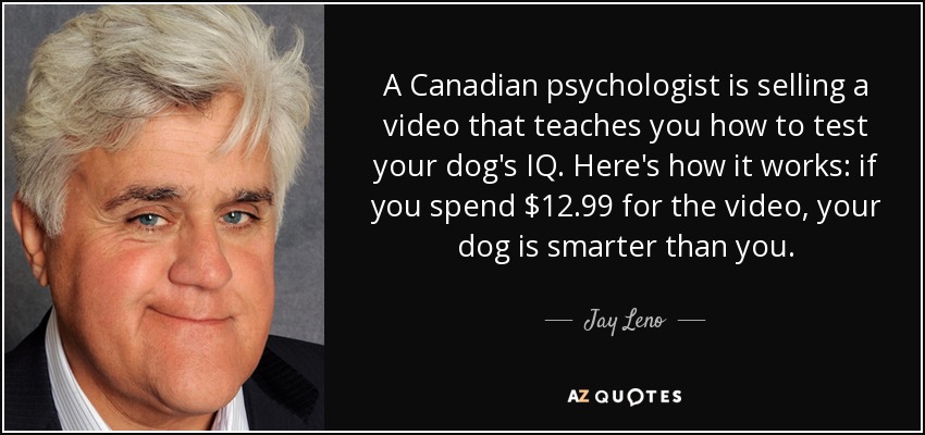 A Canadian psychologist is selling a video that teaches you how to test your dog's IQ. Here's how it works: if you spend $12.99 for the video, your dog is smarter than you. - Jay Leno