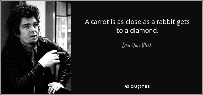 A carrot is as close as a rabbit gets to a diamond. - Don Van Vliet