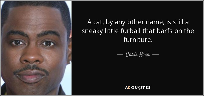 A cat, by any other name, is still a sneaky little furball that barfs on the furniture. - Chris Rock
