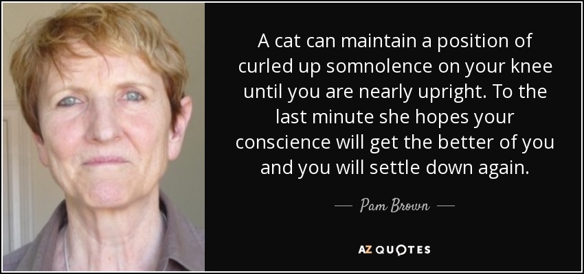A cat can maintain a position of curled up somnolence on your knee until you are nearly upright. To the last minute she hopes your conscience will get the better of you and you will settle down again. - Pam Brown