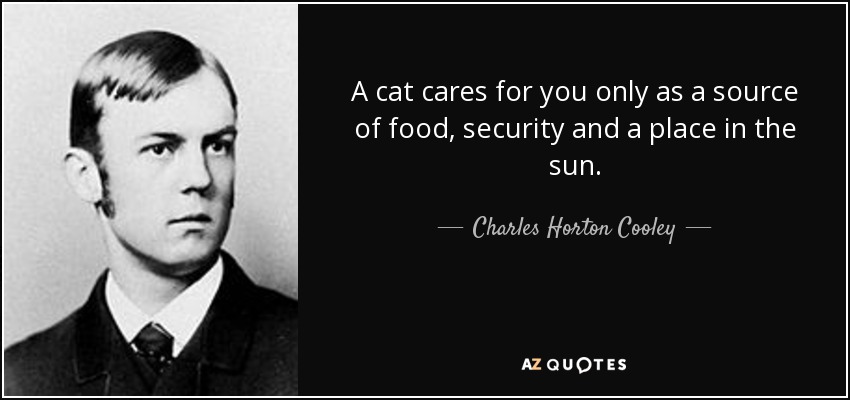 A cat cares for you only as a source of food, security and a place in the sun. - Charles Horton Cooley