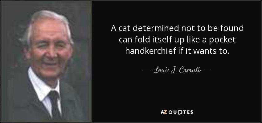 A cat determined not to be found can fold itself up like a pocket handkerchief if it wants to. - Louis J. Camuti