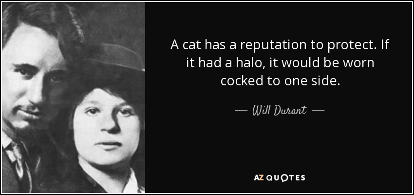 A cat has a reputation to protect. If it had a halo, it would be worn cocked to one side. - Will Durant