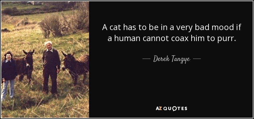 A cat has to be in a very bad mood if a human cannot coax him to purr. - Derek Tangye