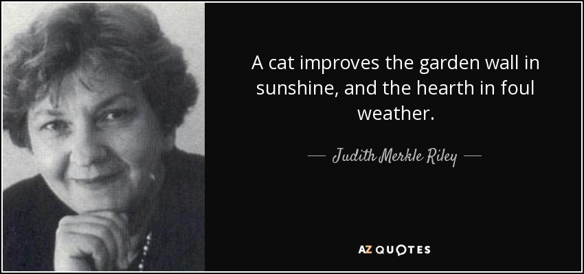 A cat improves the garden wall in sunshine, and the hearth in foul weather. - Judith Merkle Riley