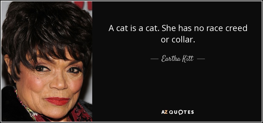 A cat is a cat. She has no race creed or collar. - Eartha Kitt