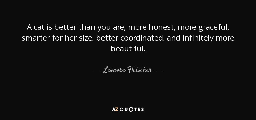 A cat is better than you are, more honest, more graceful, smarter for her size, better coordinated, and infinitely more beautiful. - Leonore Fleischer