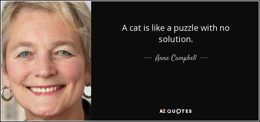 A cat is like a puzzle with no solution. - Anne Campbell
