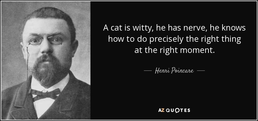 A cat is witty, he has nerve, he knows how to do precisely the right thing at the right moment. - Henri Poincare