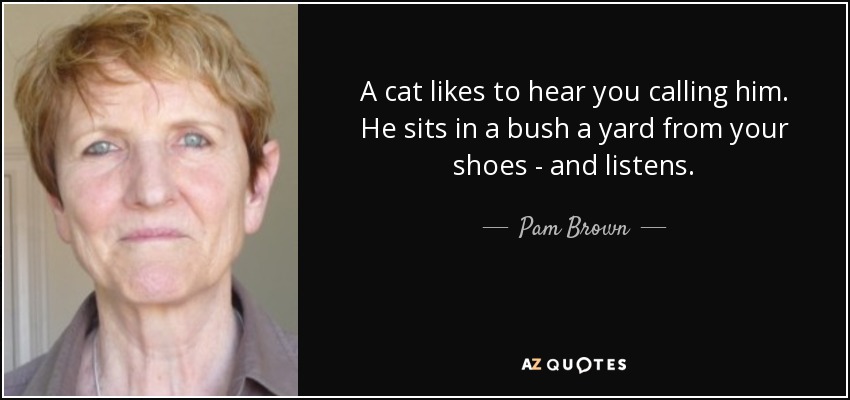 A cat likes to hear you calling him. He sits in a bush a yard from your shoes - and listens. - Pam Brown