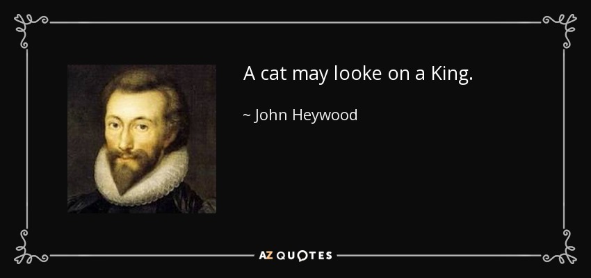A cat may looke on a King. - John Heywood