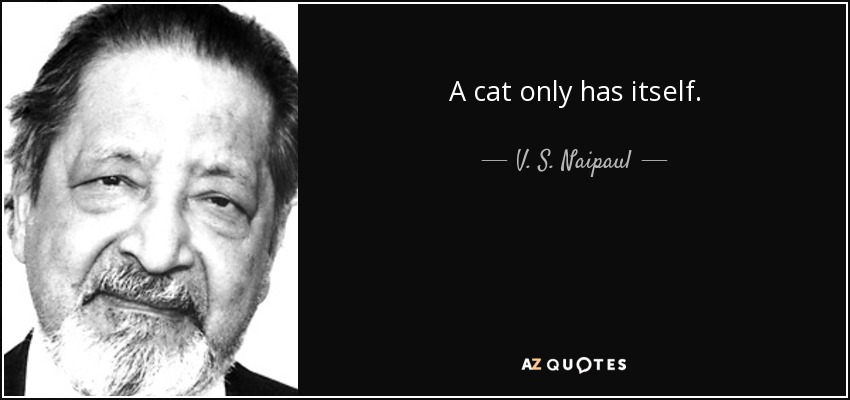 A cat only has itself. - V. S. Naipaul