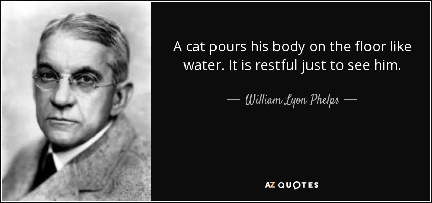 A cat pours his body on the floor like water. It is restful just to see him. - William Lyon Phelps