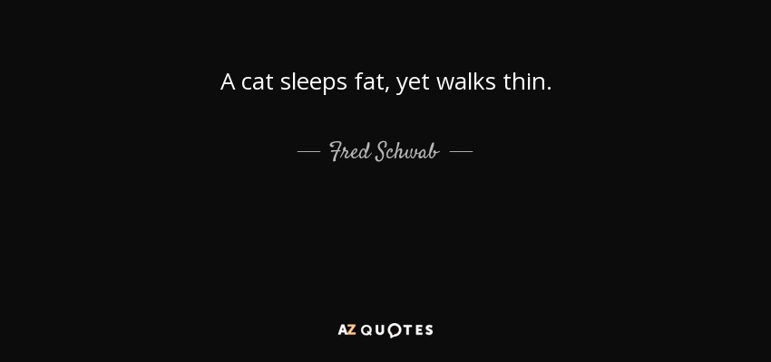 A cat sleeps fat, yet walks thin. - Fred Schwab