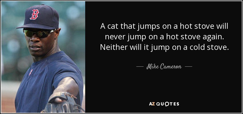 A cat that jumps on a hot stove will never jump on a hot stove again. Neither will it jump on a cold stove. - Mike Cameron