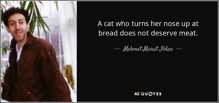 A cat who turns her nose up at bread does not deserve meat. - Mehmet Murat Ildan