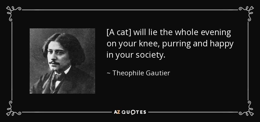 [A cat] will lie the whole evening on your knee, purring and happy in your society. - Theophile Gautier