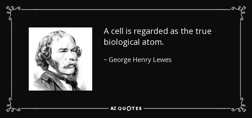 A cell is regarded as the true biological atom. - George Henry Lewes